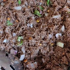 A picture of Ragi semiya.