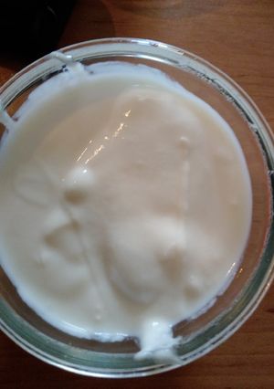 عکسی از دستور ماست خونگی