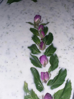 عکسی از دستور دیزاین ماست خیار