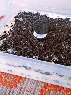 Foto resep Cookies n Cream Cheesecake