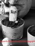 Tumbas Halloween de mousse de choco