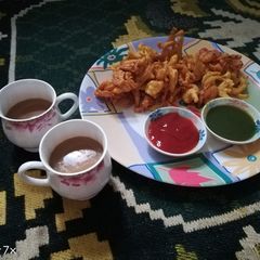 A picture of Onion pakode.