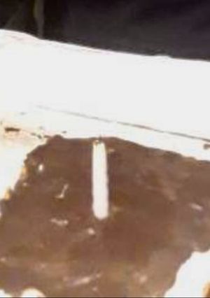 Una foto de Fake tiramisú