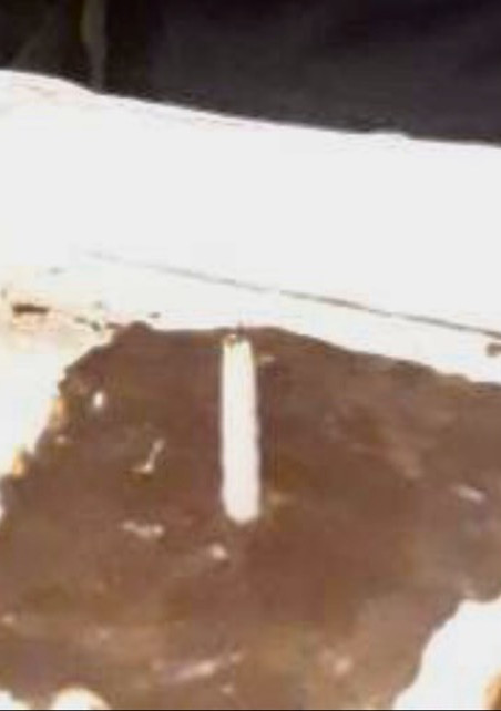 Una foto de Fake tiramisú