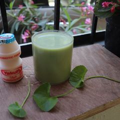 A picture of Probiotic Ondelaga/Brahmi juice with Yakult.