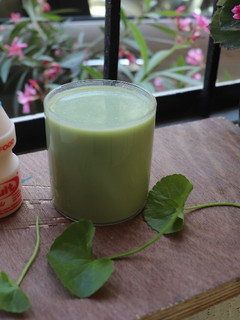 A picture of Probiotic Ondelaga/Brahmi juice with Yakult.