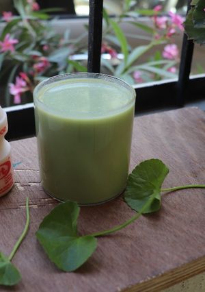 A picture of Probiotic Ondelaga/Brahmi juice with Yakult.