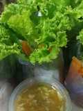 Vietnamese Spring Rolls with Dipping Sauce
