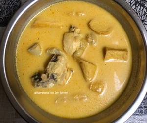 Resep mudah Opor Ayam Tahu Yummy Mantul