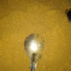 A picture of Belpuri/panipuri chat masala.