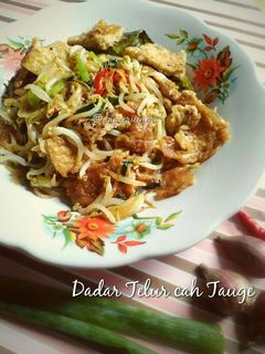Foto resep Dadar Telur cah Tauge