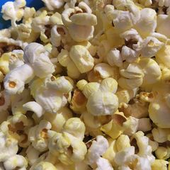 A picture of Popcorn.