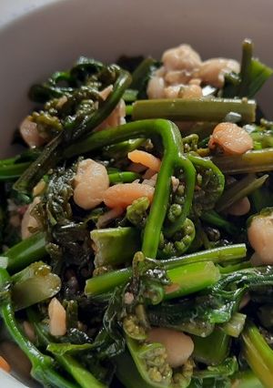 Foto resep Tumis Pakis