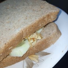 A picture of Diet sandwich 🥪.
