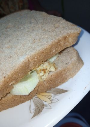 A picture of Diet sandwich 🥪.