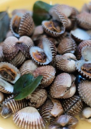 Foto resep Kerang Dara Rebus