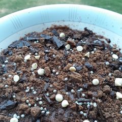A picture of Choco dessert.
