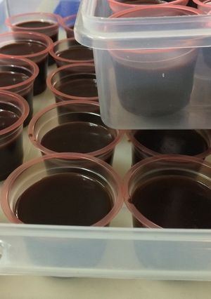 Foto resep Puding coklat enak ☺️👍