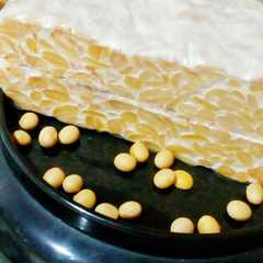 รูปของ Tempe Homemade
