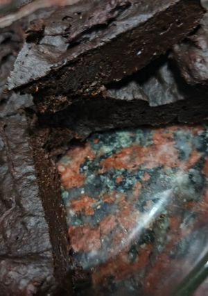 Una foto de Brownie Fit