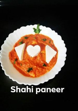 A picture of Shahi Panner.