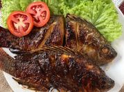 Gambar ikan bakar madu