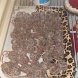 Trufas