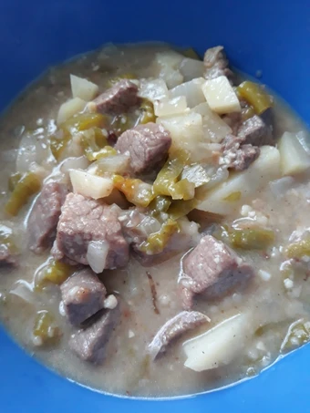 Easy Way Prepare Recipe Green Chili Stew that is Awesome, Appealing}