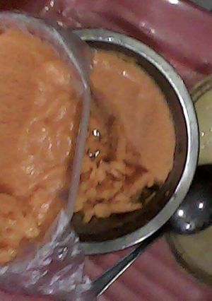 Foto resep Papaya Ice Cream