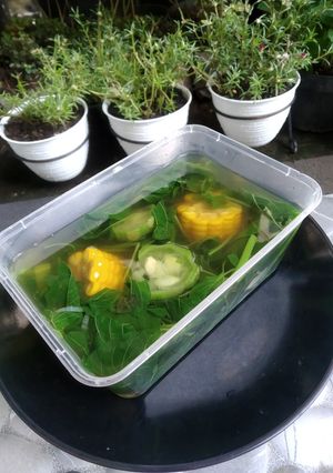 Foto resep Bayam bening