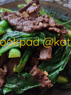 A picture of Stir Fry Beef & Gai Lan 芥蘭炒牛肉.