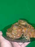 Sardin Goreng Tepung