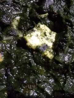 পালং পনির (palang paneer recipe in Bengali) রেসিপির প্রধান ছবি