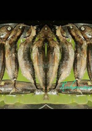 Foto resep Tongkol Ungkep/Pindang Simple