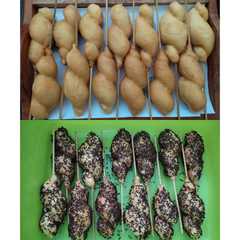 DoPaHa/Donat Paha Ayam রেসিপির প্রধান ছবি
