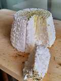 Ricotta di Kefir