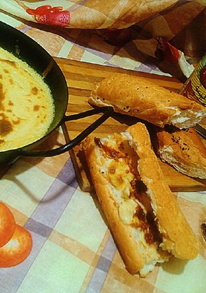 صورة لوصفة كرنتيكا(الحامي)