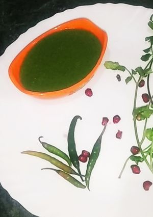 A picture of Anardana Chutney.