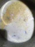 Oyster stew