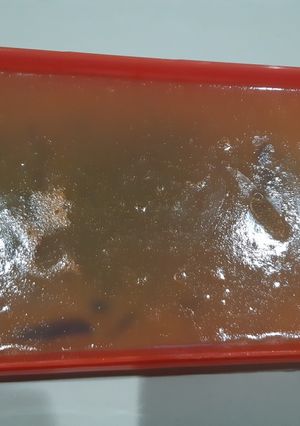 Foto resep Puding pepaya