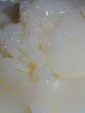 Xiao Long Bao (Gelatin Preparation)