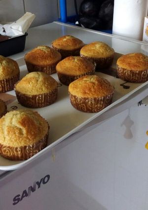 A picture of Vanilla cupcakes.