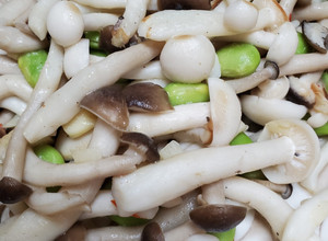 雙菇炒毛豆 的食譜成品照片