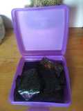 Snack de alga nori