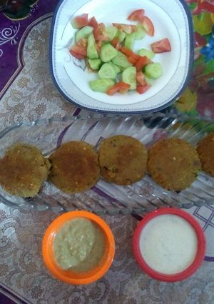 A picture of Qeeme ke shaami kabab.