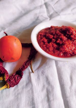 રાજસ્થાની ટામેટાં ની ચટણી (Tomato Chutney Recipe In Gujarati) રેસીપી મુખ્ય ફોટો