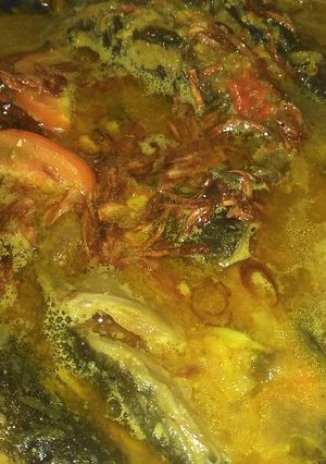 Foto resep Ikan Lele Bumbu Santan