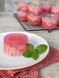Puding Lumut Kulit Buah Naga