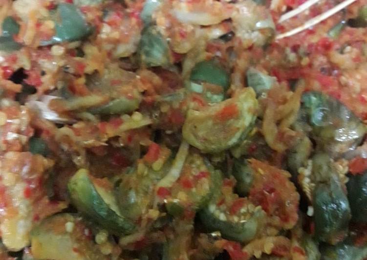 Balado Terong Hijau Bulet Teri