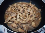 Gambar kodok kecap